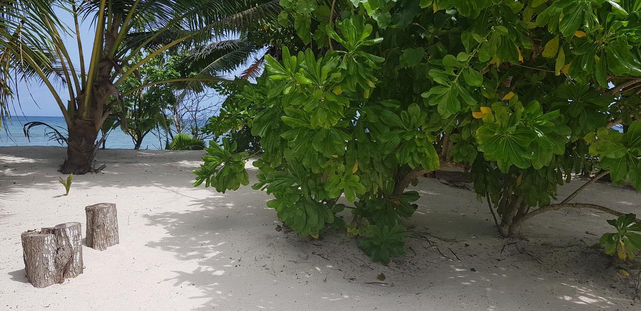 Villa Admiral Grand Anse  Exteriér fotografie